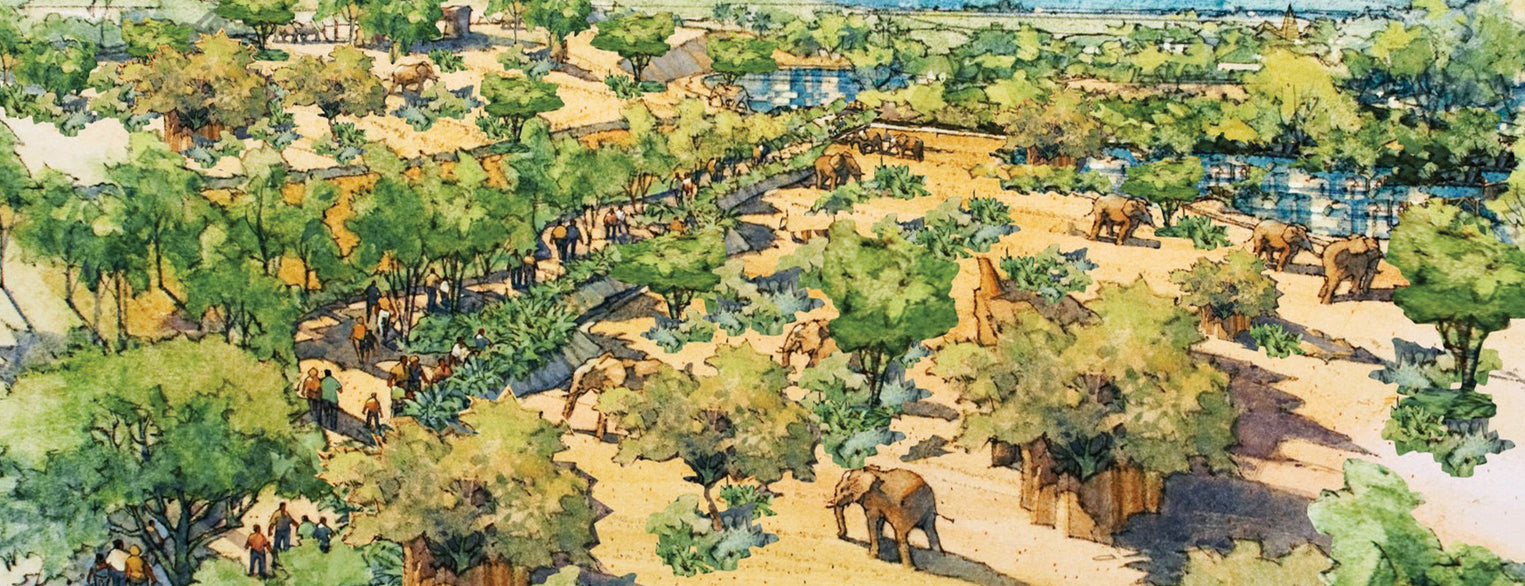 In the Valley of the Gentle Giants