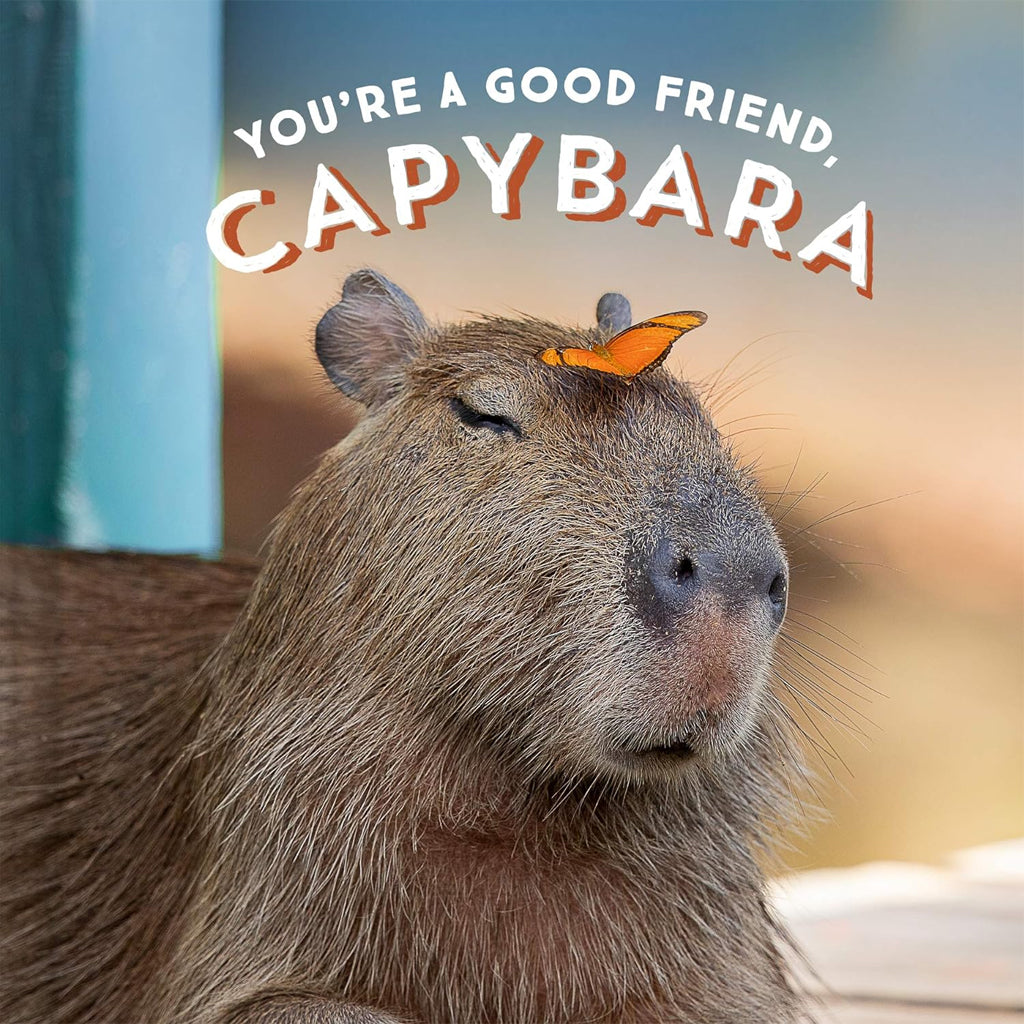YOU'RE A GOOD FRIEND CAPYBARA ADULT BOOK