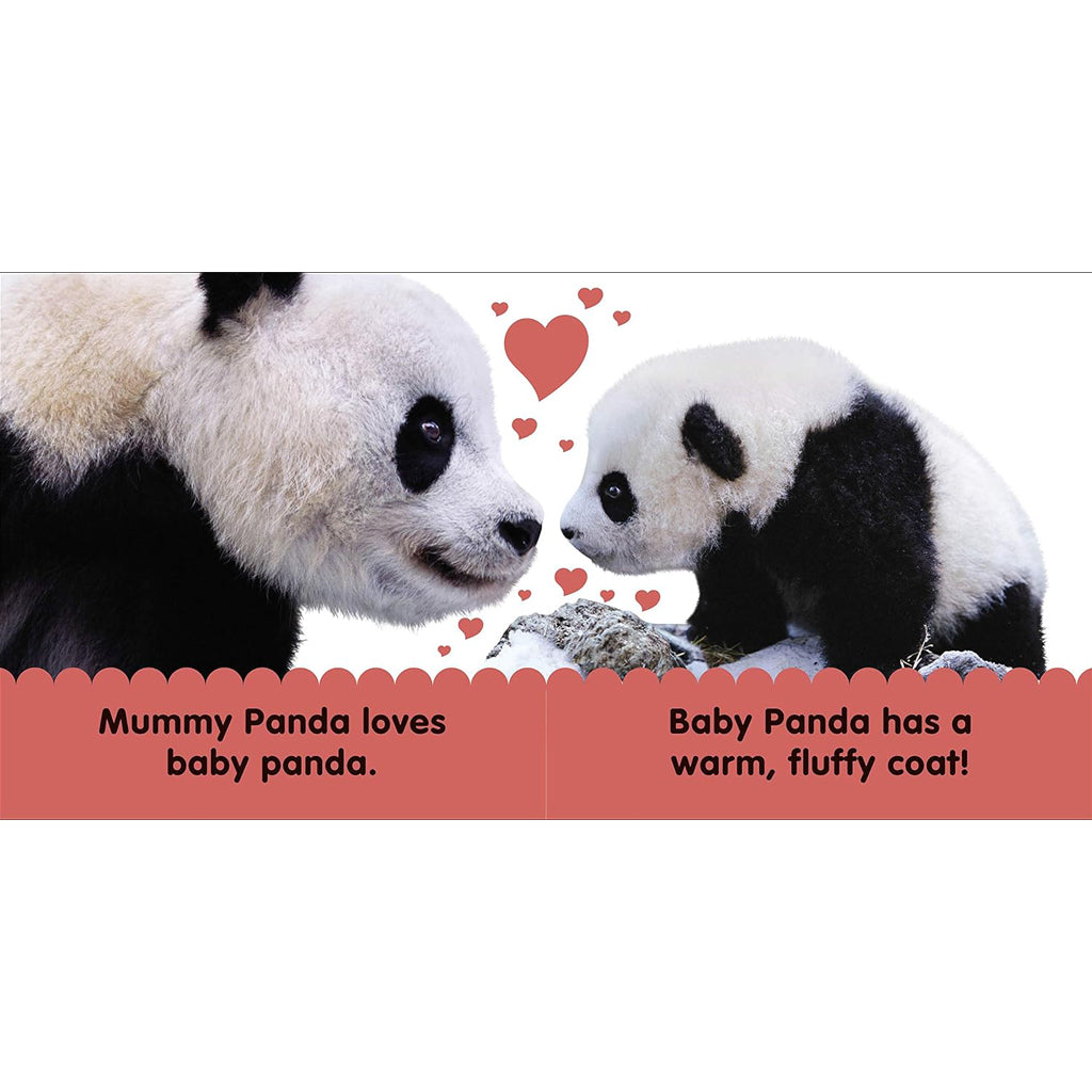 Children's Book: Baby Touch and Feel Panda