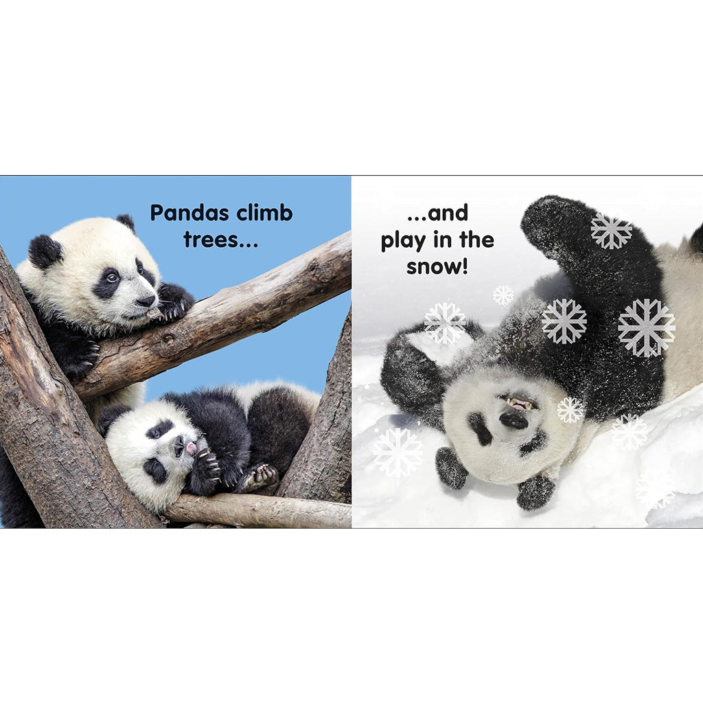 Children's Book: Baby Touch and Feel Panda