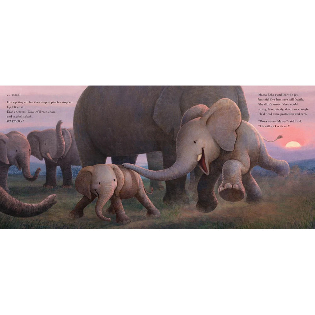 Children's Book: Mighty Muddy Us