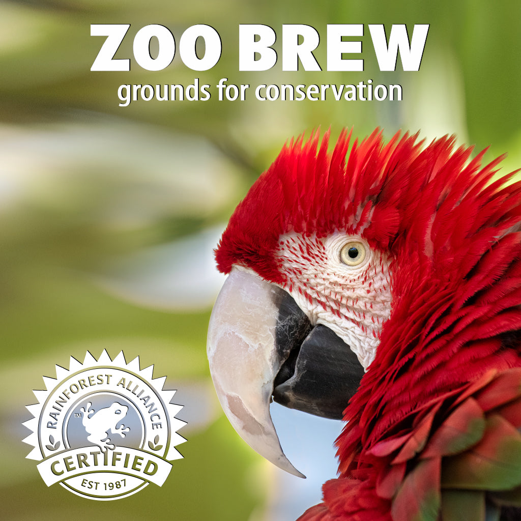 San Diego Zoo Brew Coffee