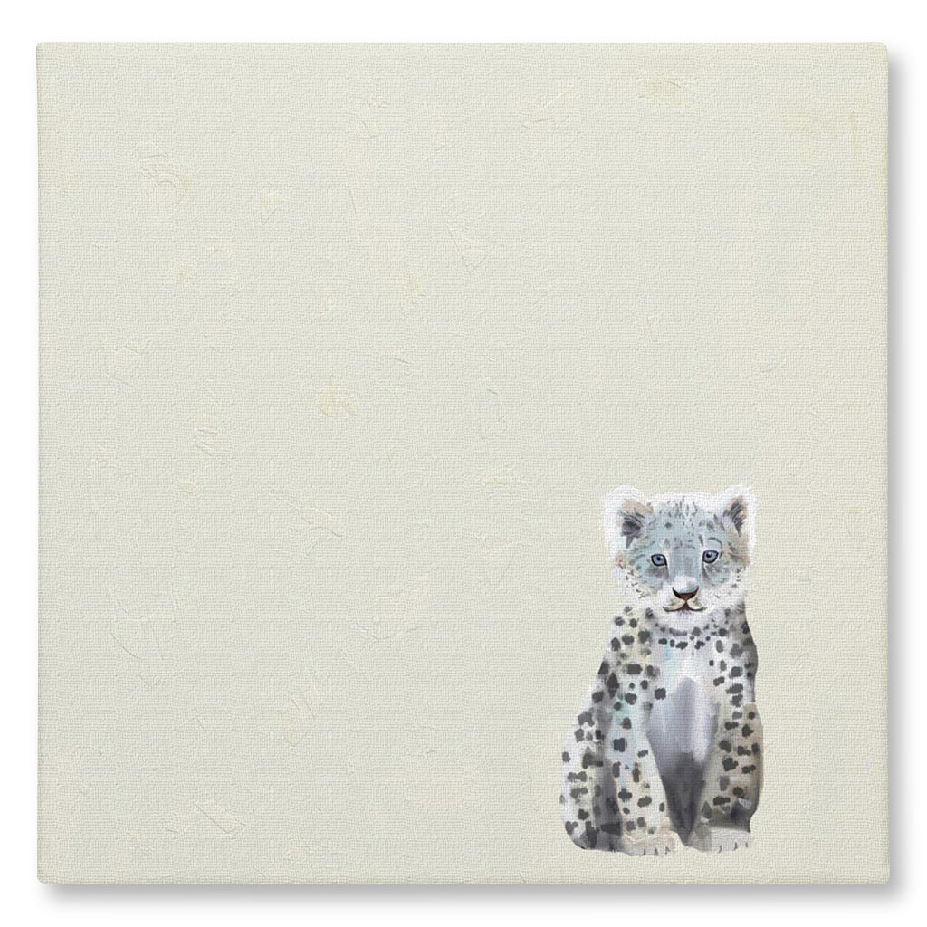 Baby Snow Leopard Giclée Canvas Print