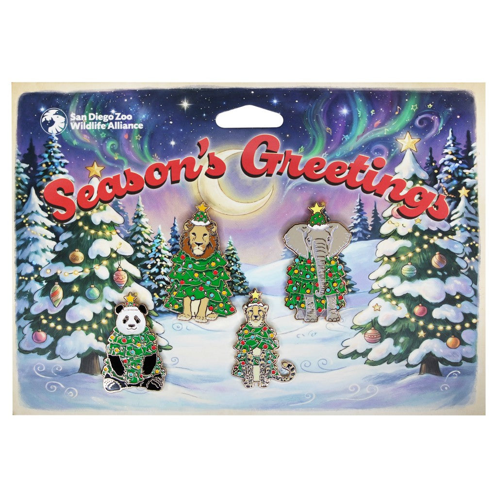 Season's Greetings Holday Pin Set