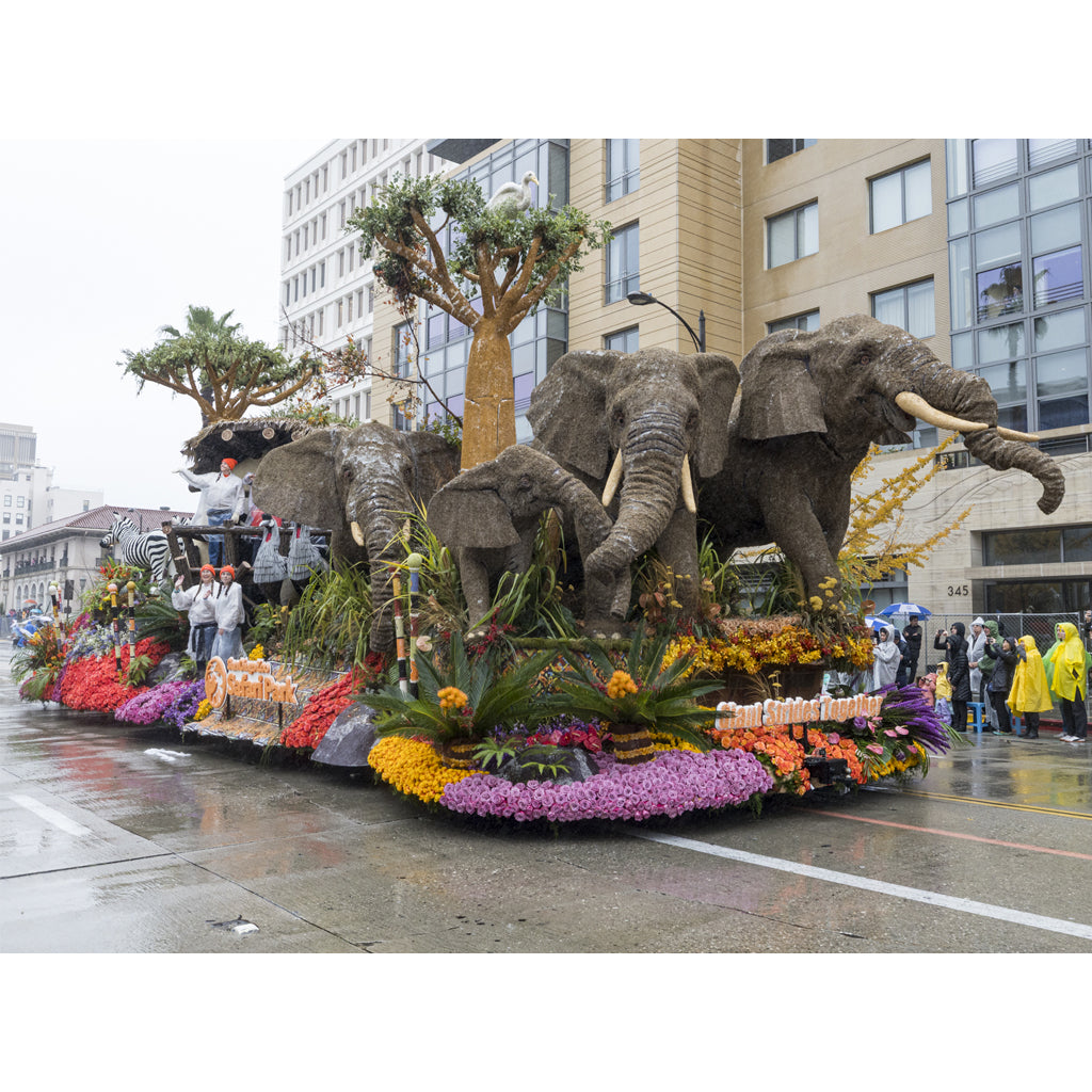 San Diego Zoo Wildlife Alliance 2026 Rose Parade Float Giant Strides Together
