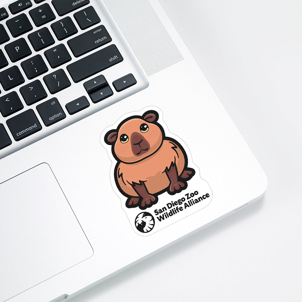 Cute Capybara Sticker