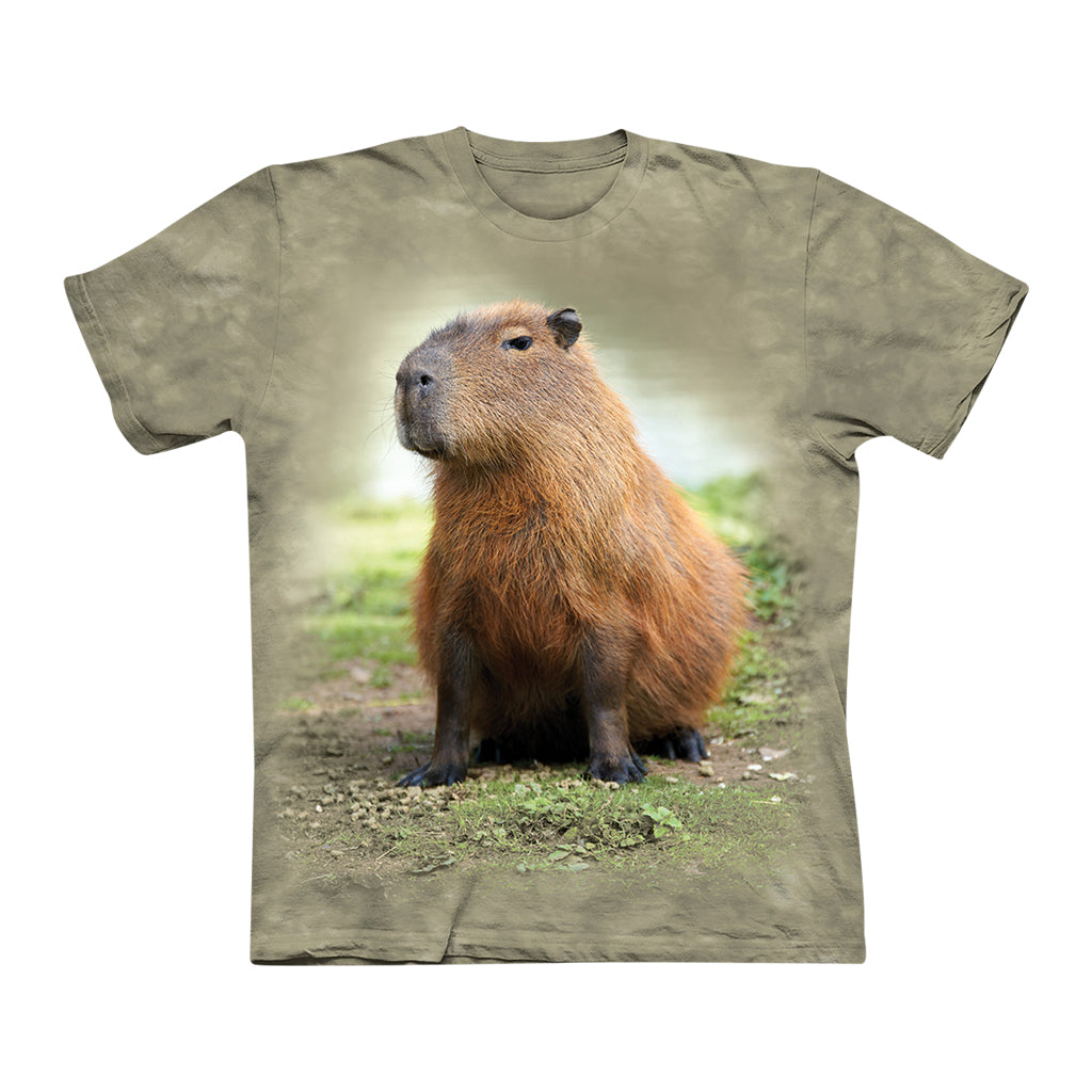 KIDS YOUTH FULL BODY CAPYBARA TIE DYED SAGE GREEN TEE