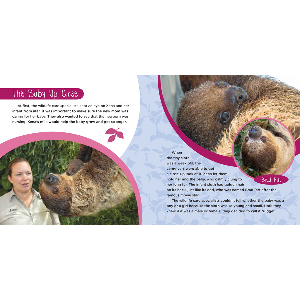Teaching Tornero: The True Story of a Sloth Superstar