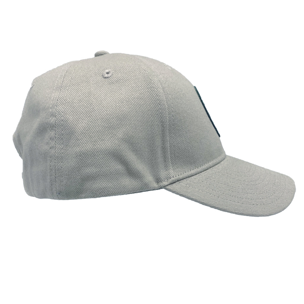 SDZWA Baseball Cap