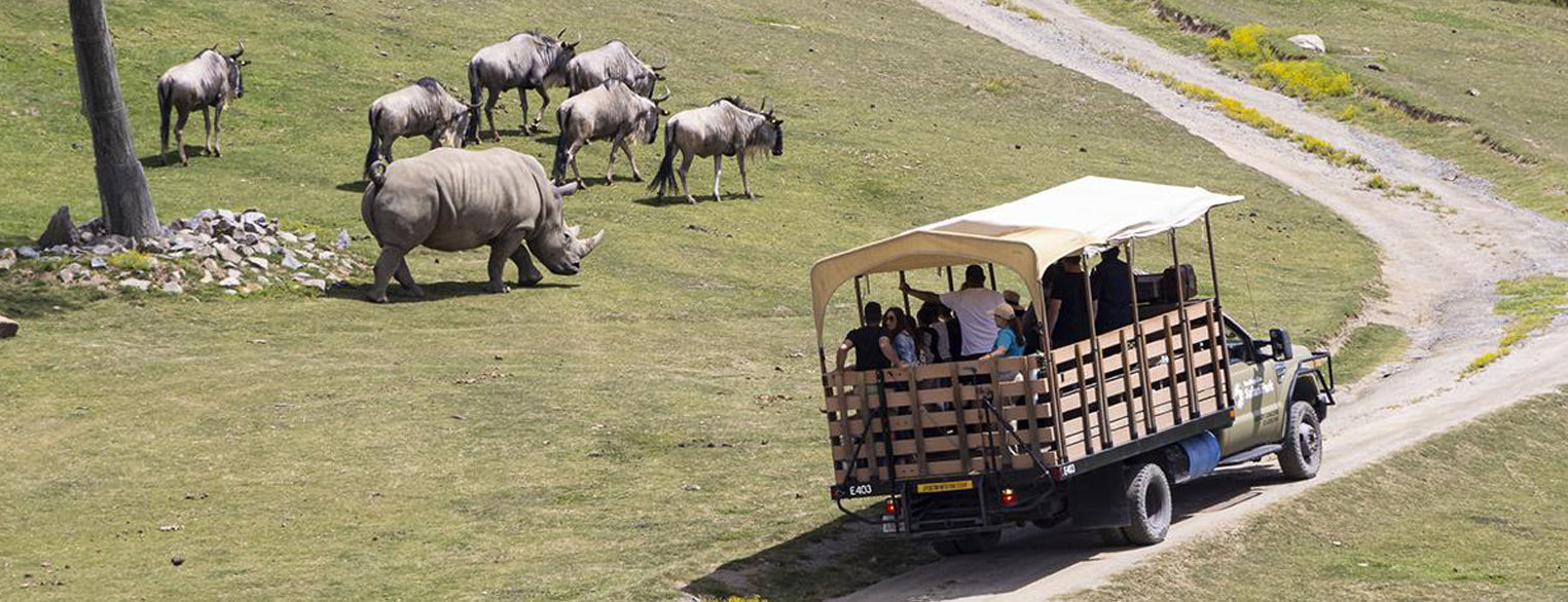 Safari Excursions Tour at the San Diego Zoo Safari Park