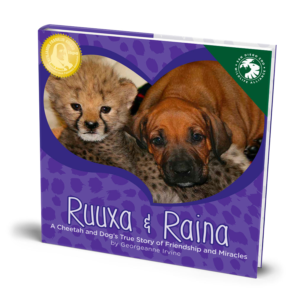 Stories of Hope & Inspiration