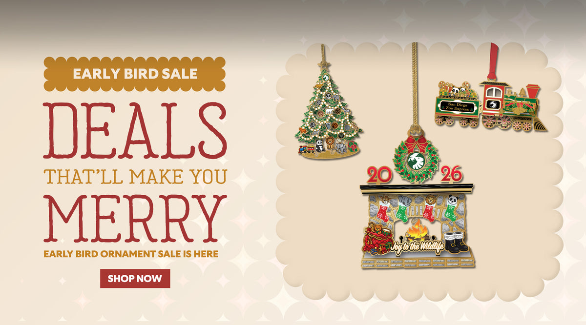 Early Bird Ornament Sale is Here