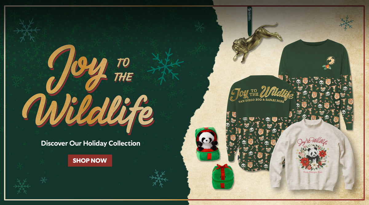 Discover Our Joy to the Wildlife Holiday Collection