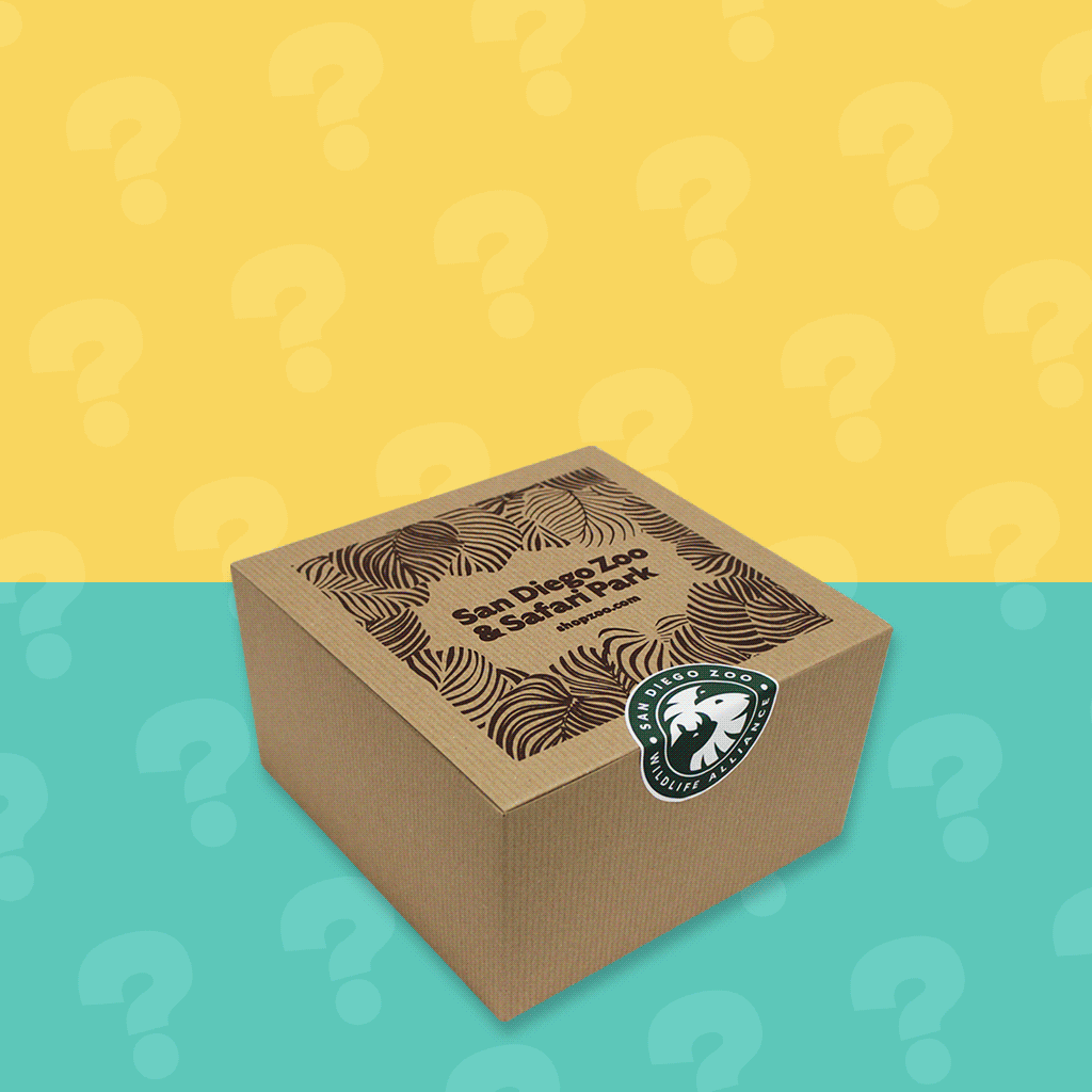San Diego Zoo Mystery Box