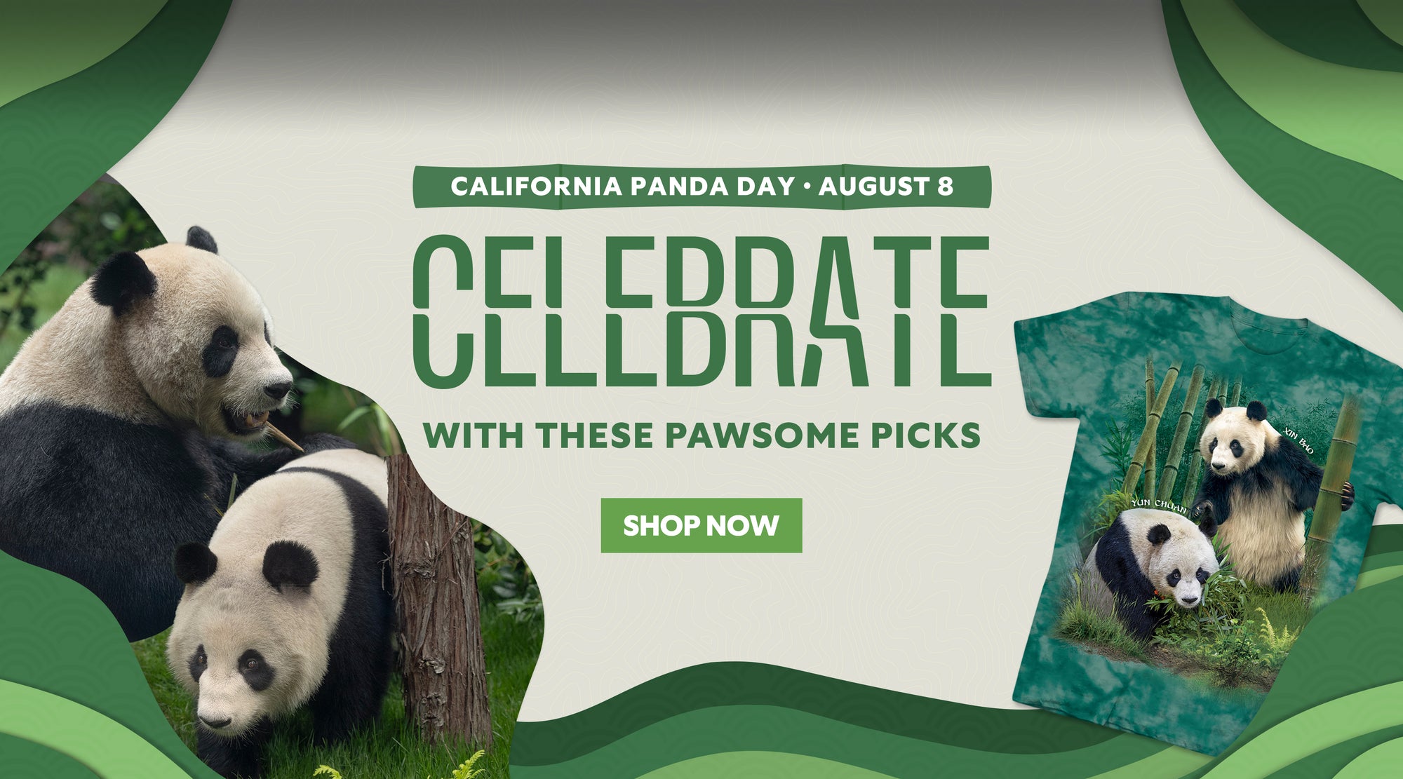 Celebrate California Panda Day with Pawsome Picks