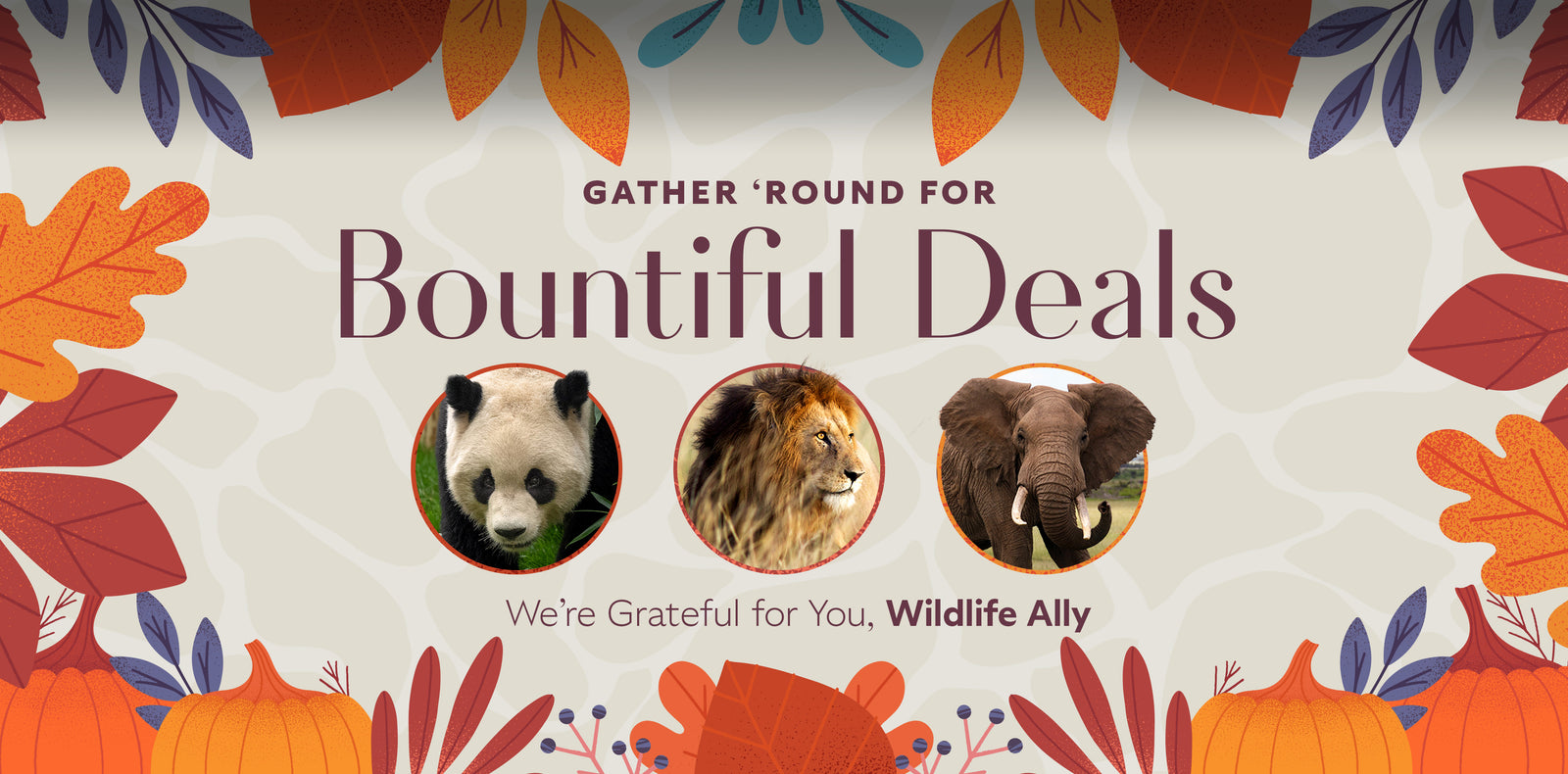 Thanksgiving Weekend Specials for Wildlife Allies