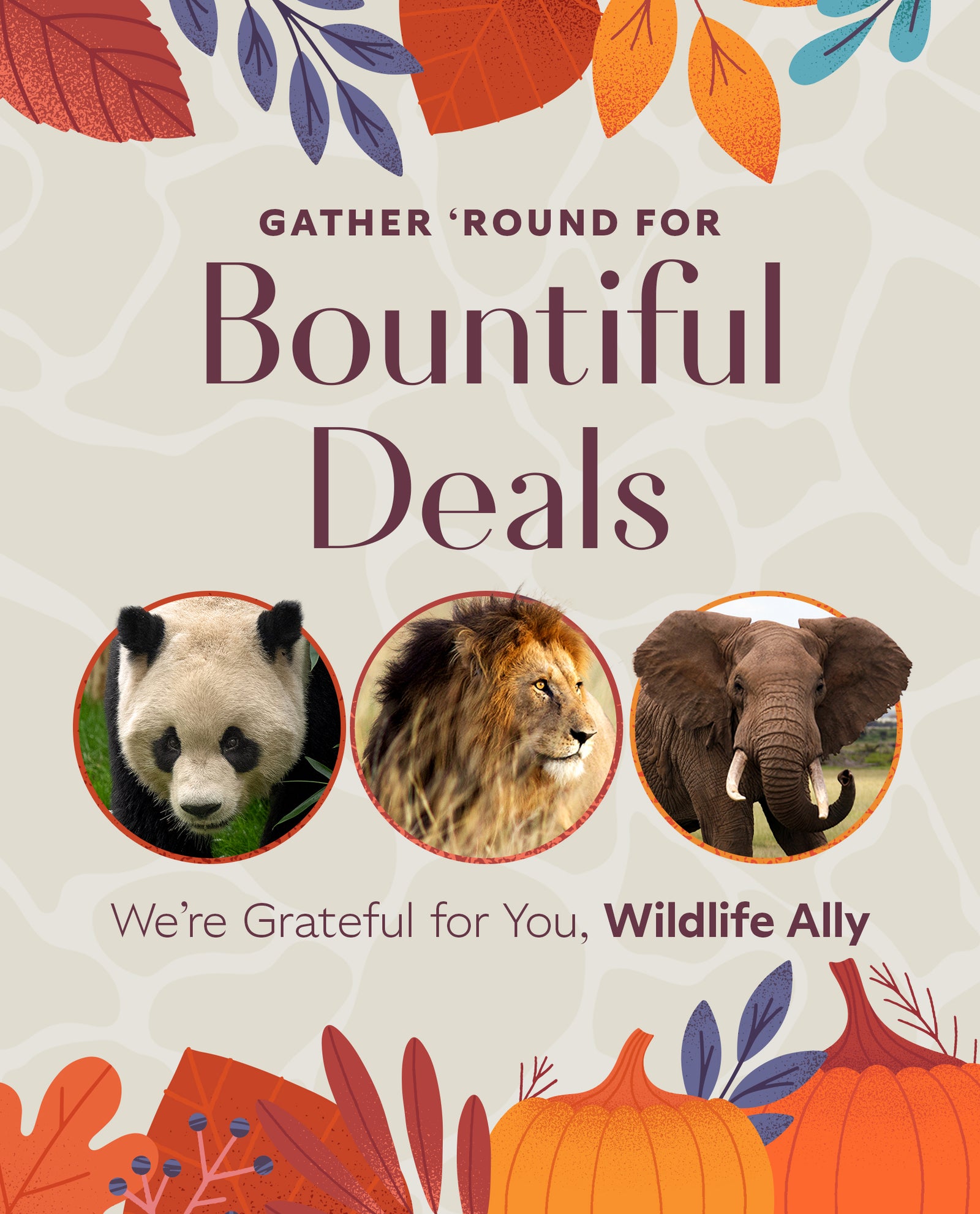 Thanksgiving Weekend Specials for Wildlife Allies
