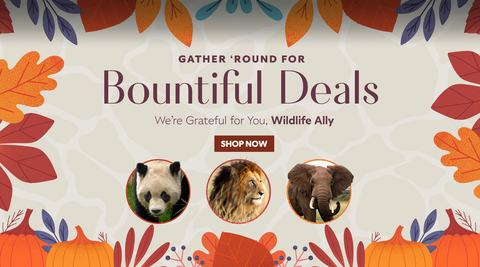 Thanksgiving Weekend Specials for Wildlife Allies
