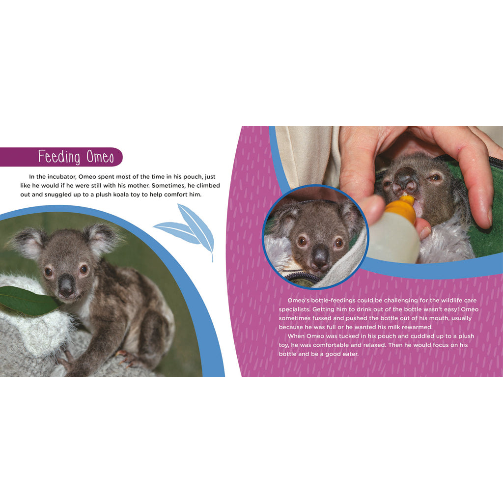 Amazing Omeo: A Baby Koala's True Story of Survival