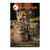 San Diego Zoo Safari Park Guidebook Front Cover