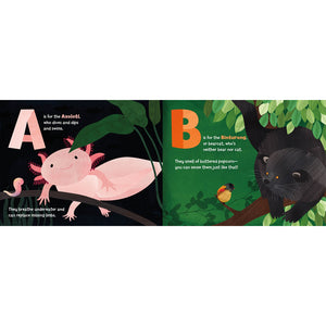 Children's Book: A Is For Axolotl