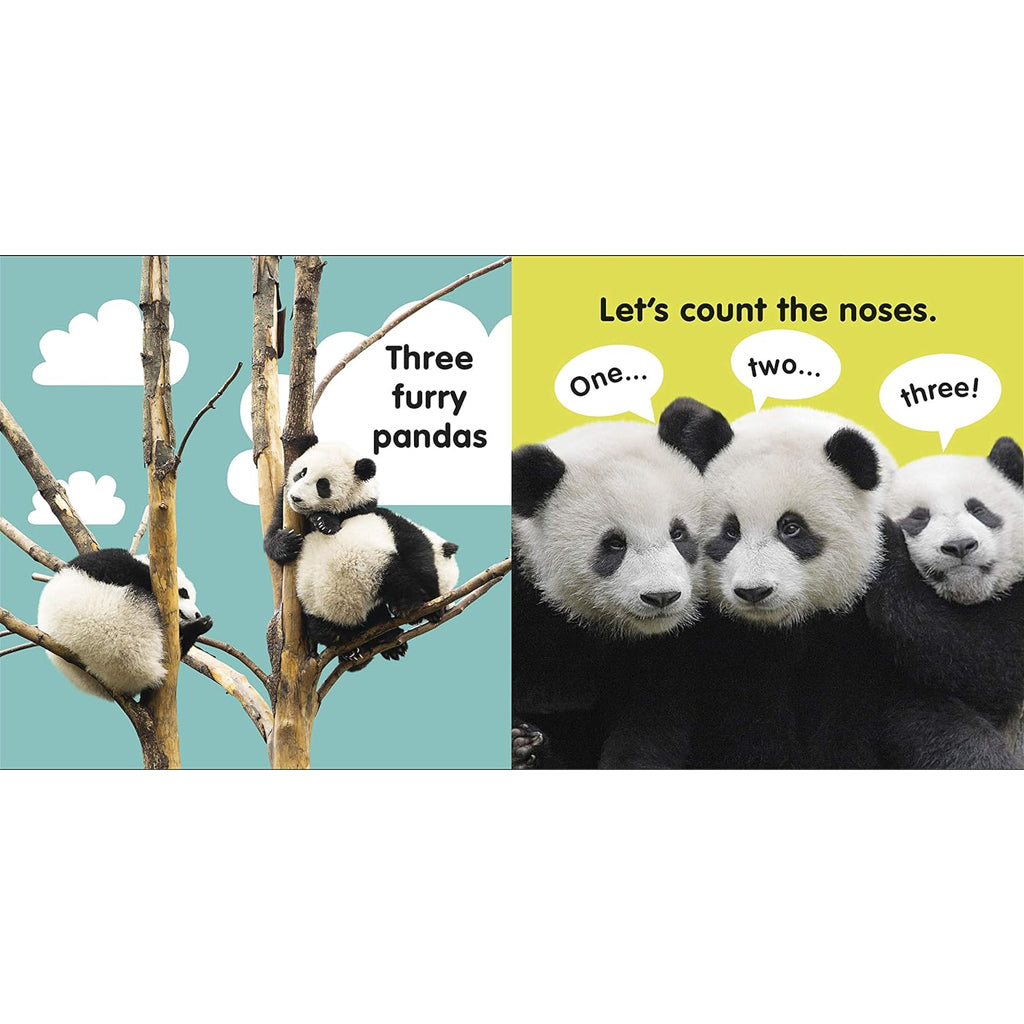 Children's Book: Baby Touch and Feel Panda