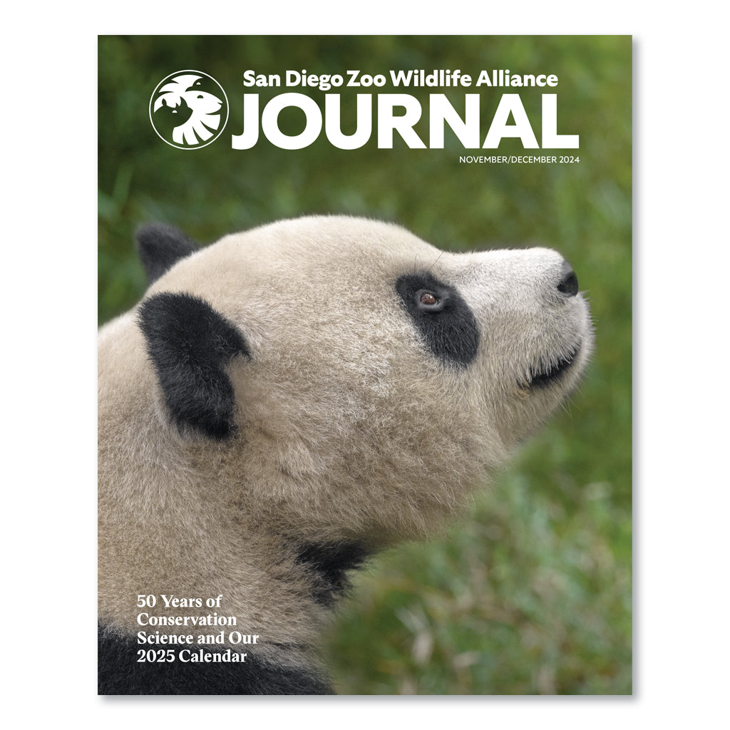 SDZWA Journal - 2025 Calendar Issue