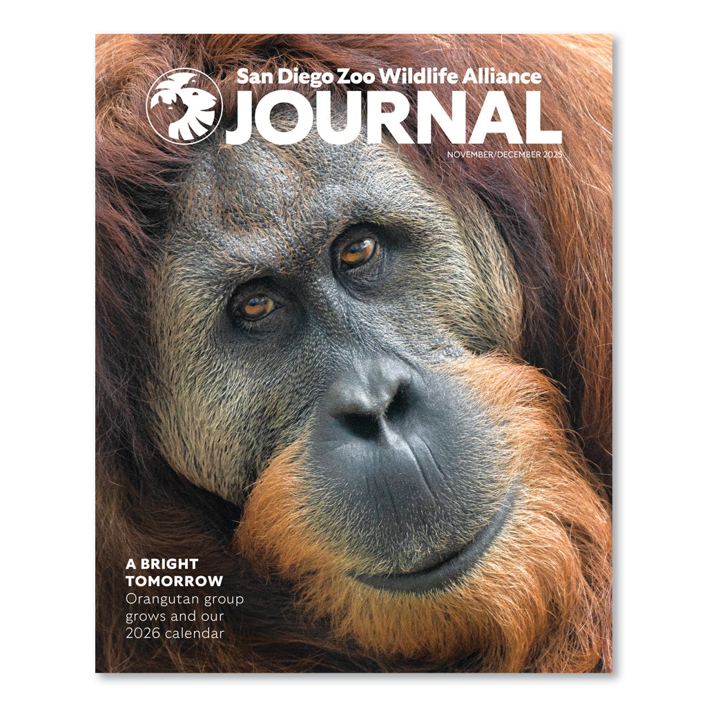 SDZWA Journal - 2026 Calendar Issue