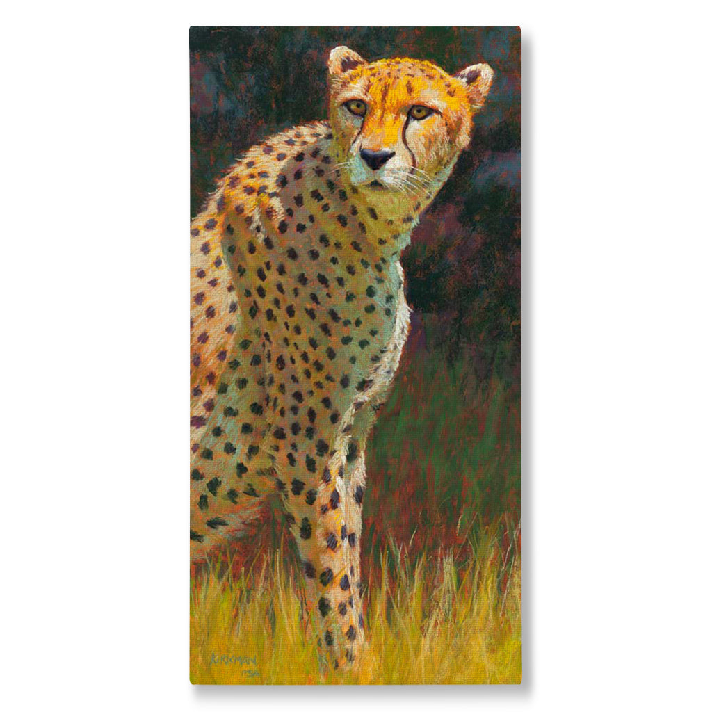 Shop to Support Cheetahs - ShopZoo Shop to Support Cheetahs - ShopZoo