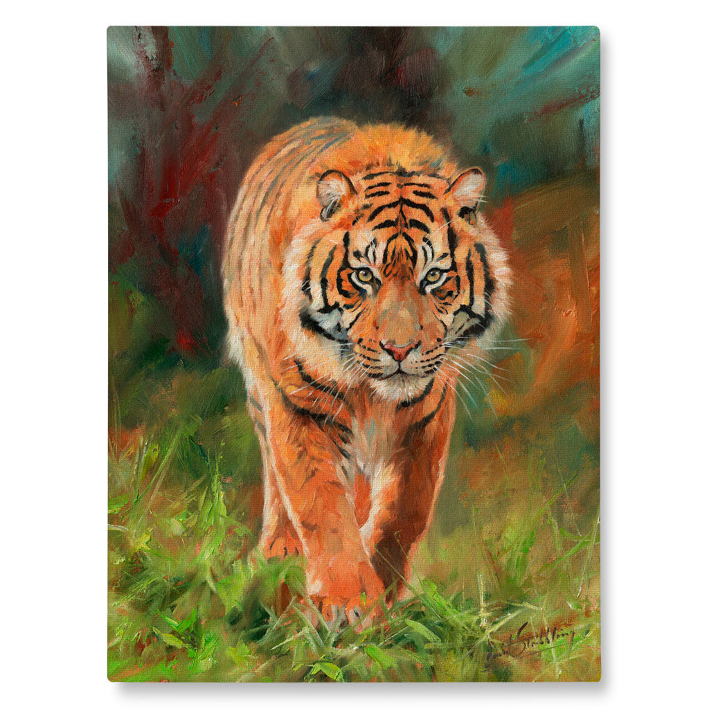 Canvas Print Painting of a tiger walking through grass with a colorful background