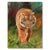 Canvas Print Painting of a tiger walking through grass with a colorful background