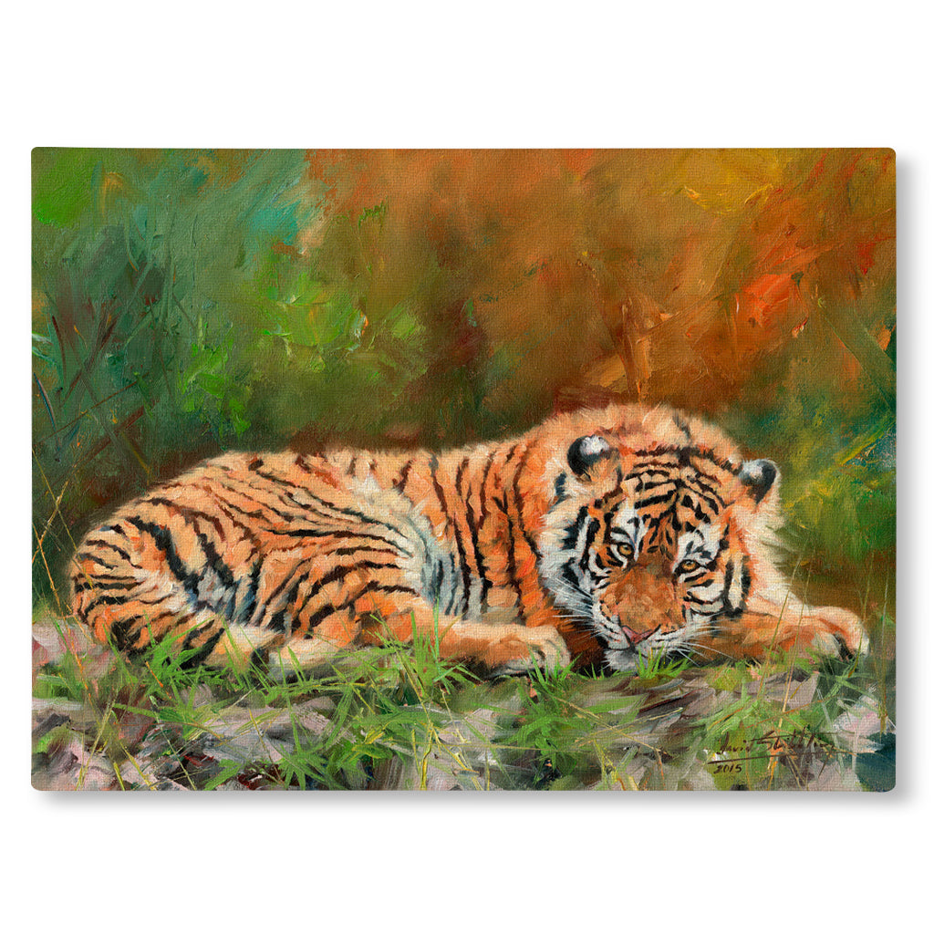 Canvas Print Painting of a resting tiger in a natural setting