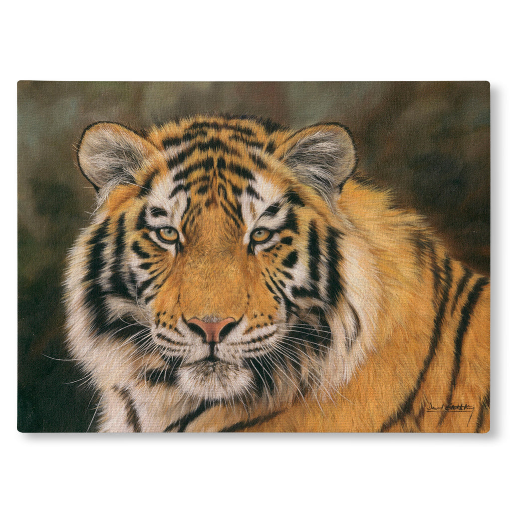 Canvas Print Painting realistic portrait of an Amur Tiger&#39;s face.