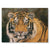 Canvas Print Painting realistic portrait of an Amur Tiger's face.