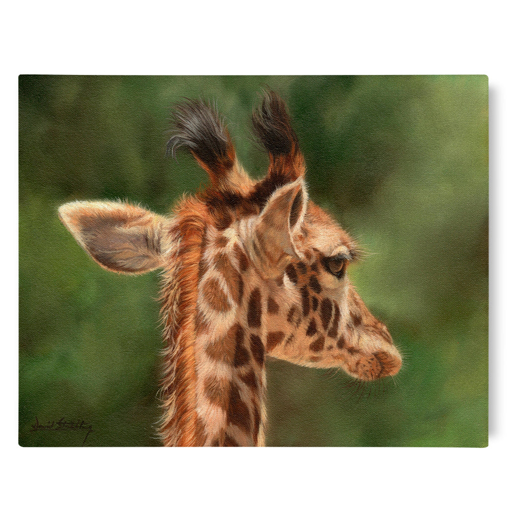 Canvas Print Painting Giraffe calf from behind on green background