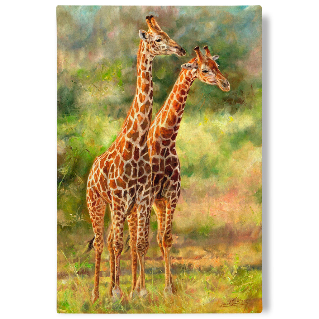 Canvas print painting of two giraffes standing close together in a natural setting