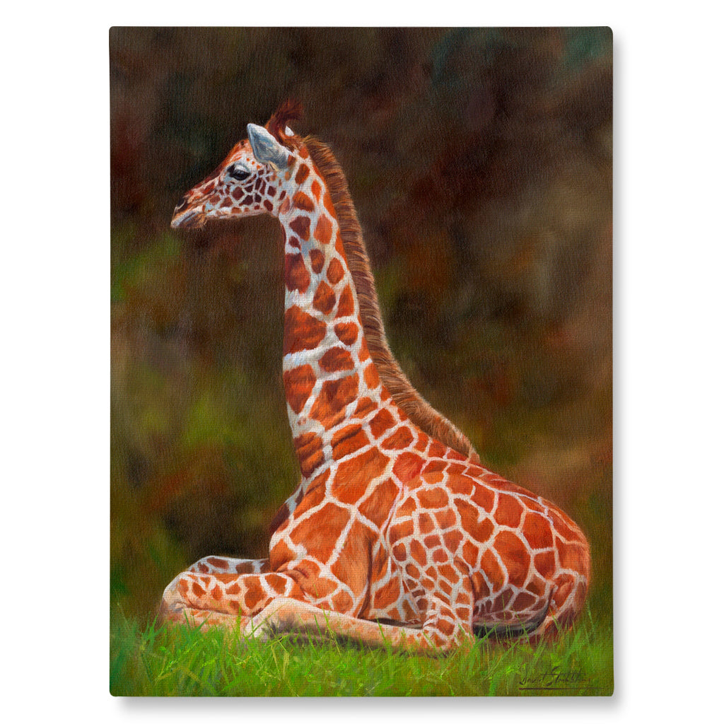 Canvas Print painting of Giraffe sitting on grass with a blurred natural background