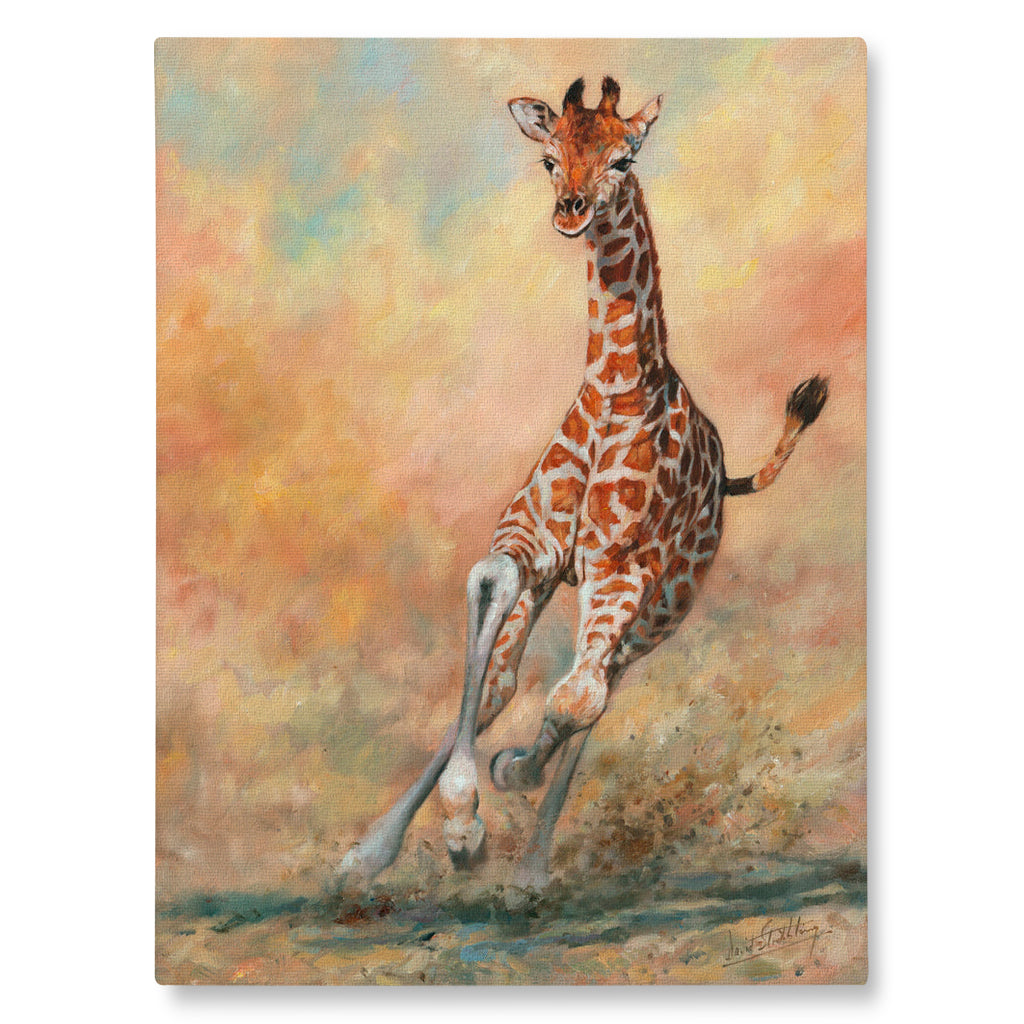 Canvas print painting of giraffe calf running in an African savanna setting