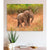Canvas print of an elephant calf in a natural setting on a wall above a desk with decor items.