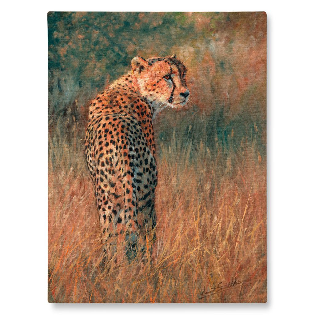 Canvas Print Painting of a cheetah in a natural setting with grass and shrubs.