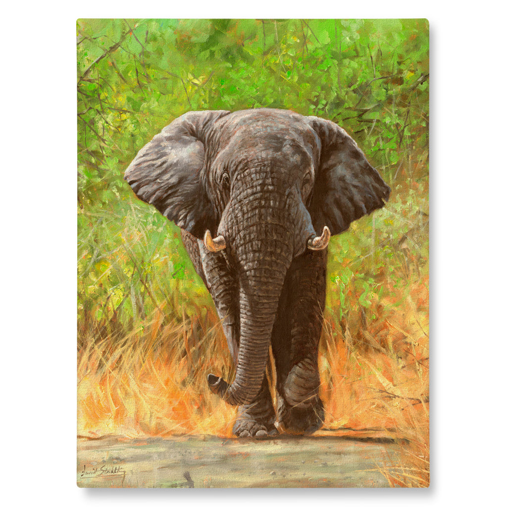 Canvas Print Painting of an elephant charging through a lush savanna background.