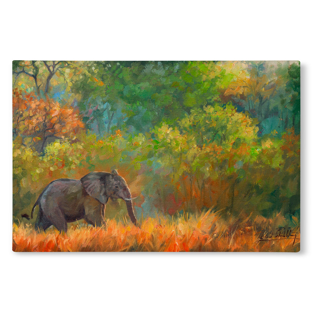 Canvas Print Painting of an elephant in a forest with autumn colors.