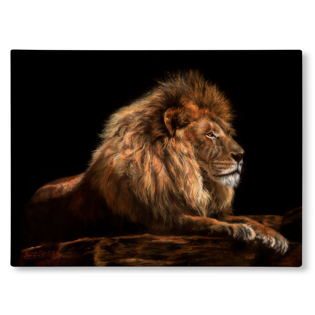 Canvas Print artistic depiction of a lion resting on a dark background.