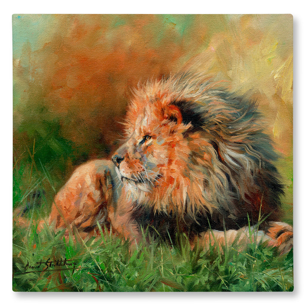 Canvas Print Painting of a lion lying in grass with a warm color palette