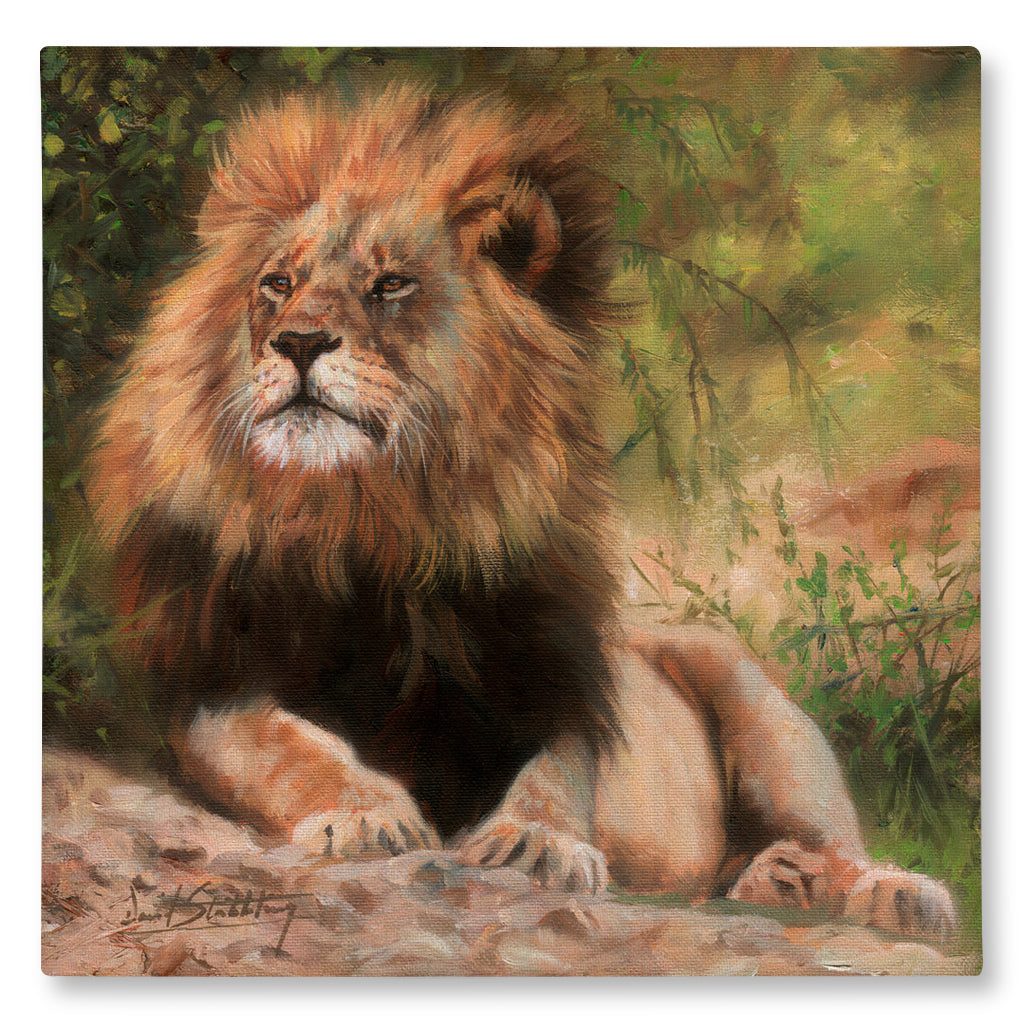 Canvas Print Painting of a lion sitting on a rock with a natural background