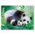 Canvas Print painting of mom and baby giant pandas curled up together in a lush forest setting.