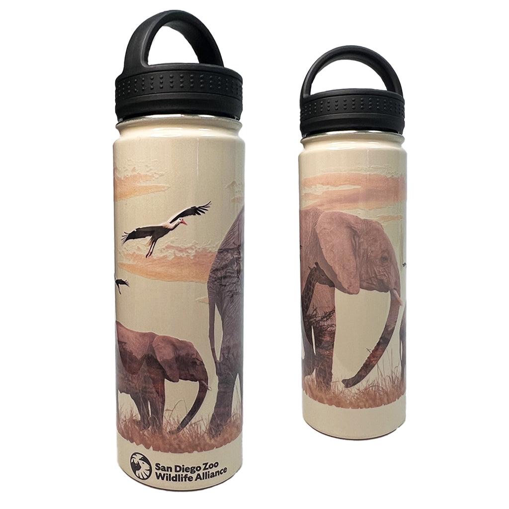 San Diego Zoo Water Bottles – Owala