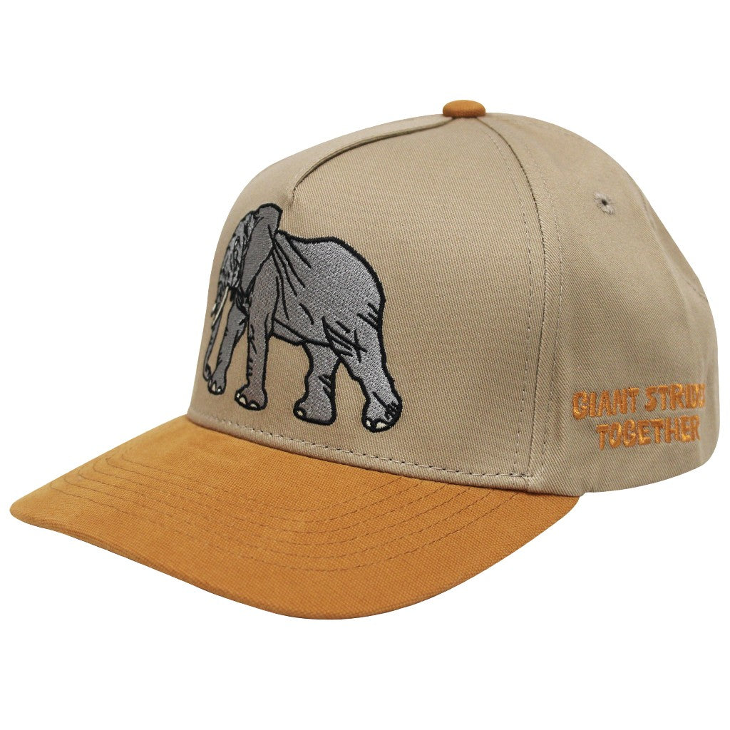 Giant Strides Together Baseball Cap