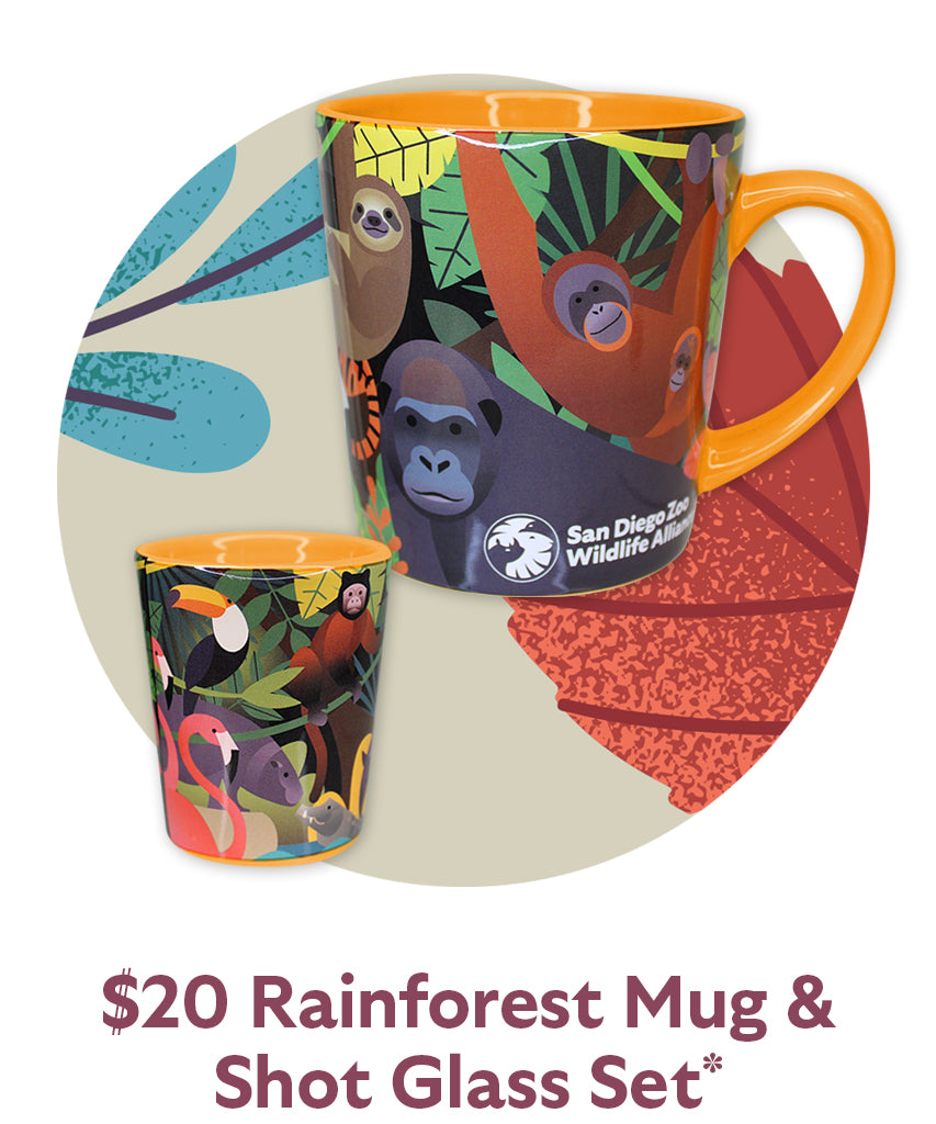 $20 Rainforest Mug & Shot Glass Set