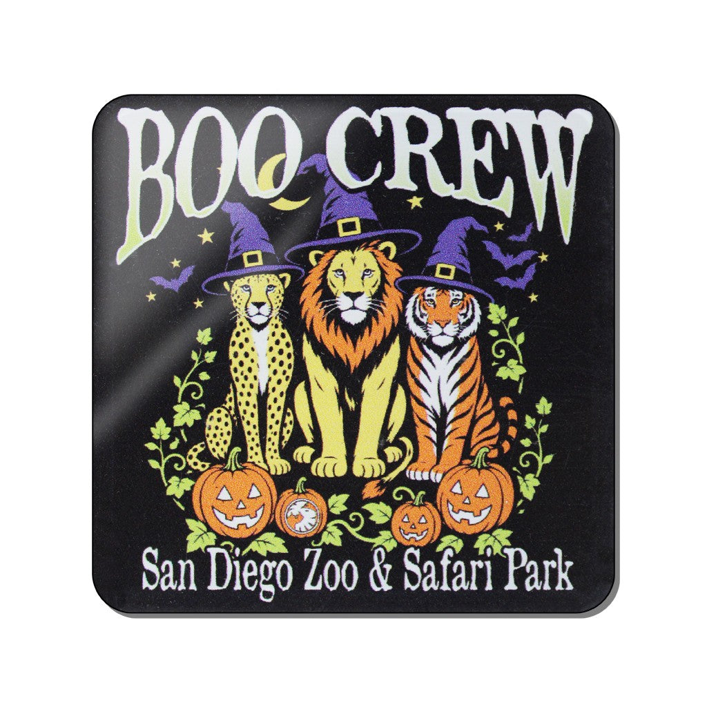 BOO CREW SAN DIEGO ZOO & SAFARI PARK HALLOWEEN MAGNET PUMPKINS CHEETAH LION AND TIGER WITH WITCH HATS